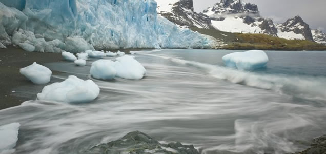 Agee Arctic