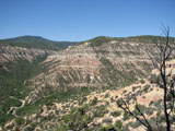 Collaborator Leif Tapanila admiring the scenery 