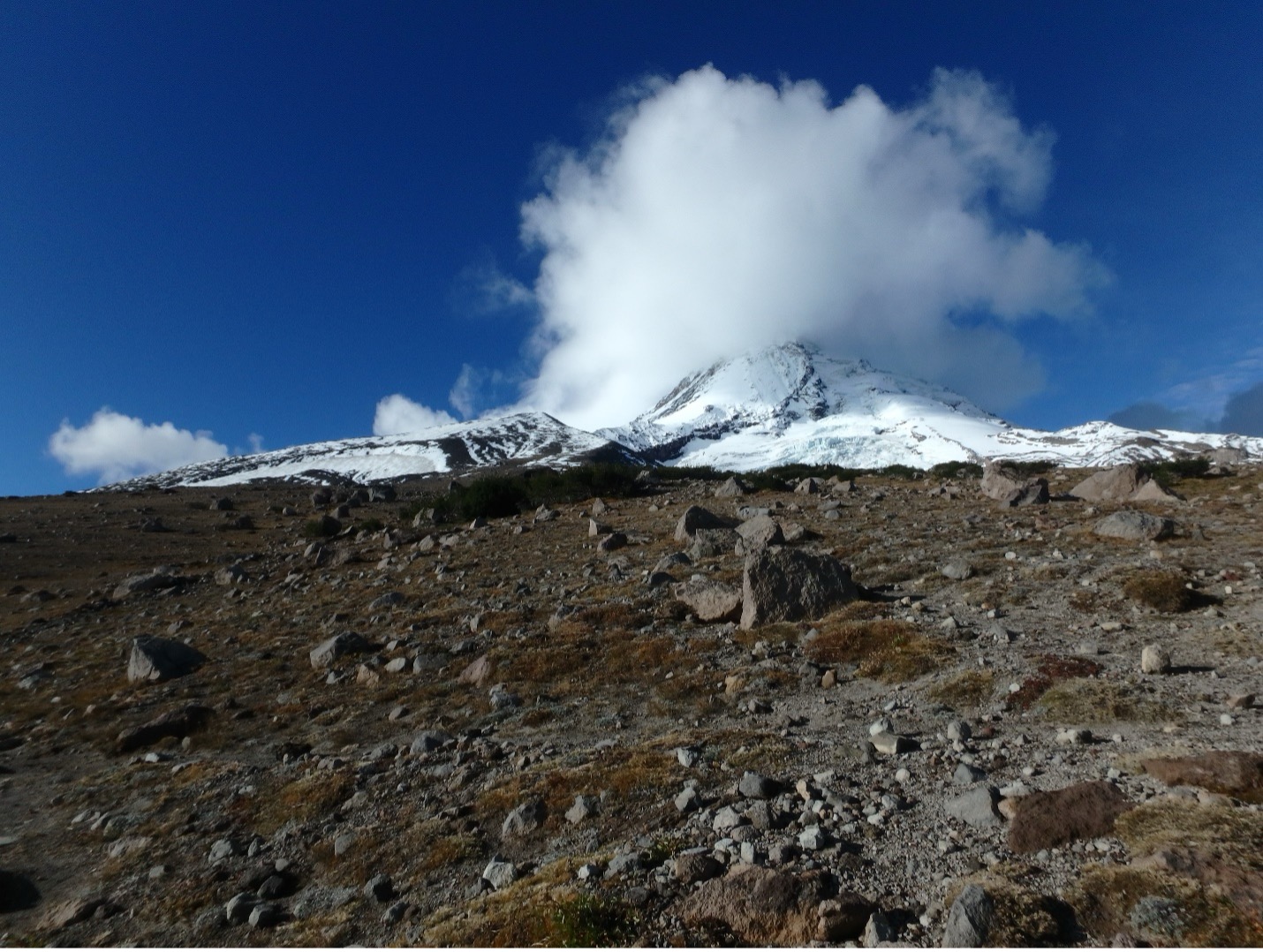 Mount Hood