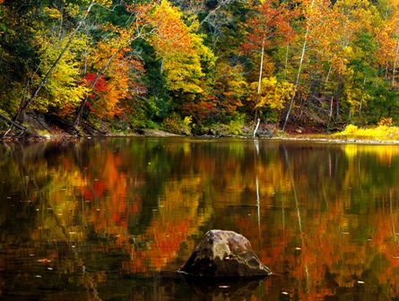 Visualizing Nature in the Midwest: Visualizing Nature: Purdue University