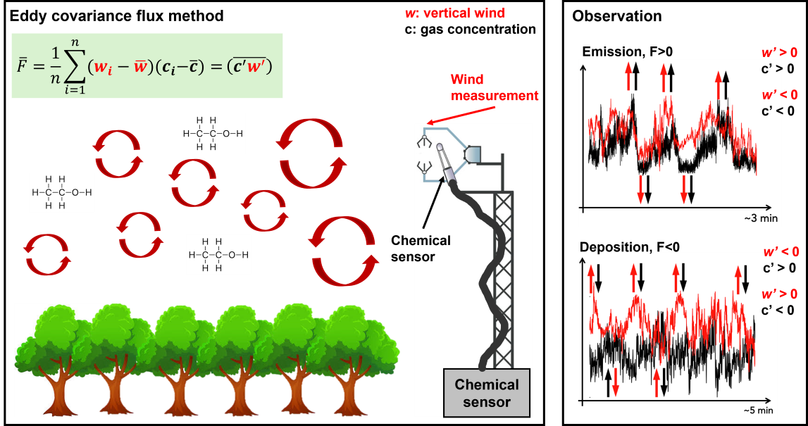 eddy covariance method description