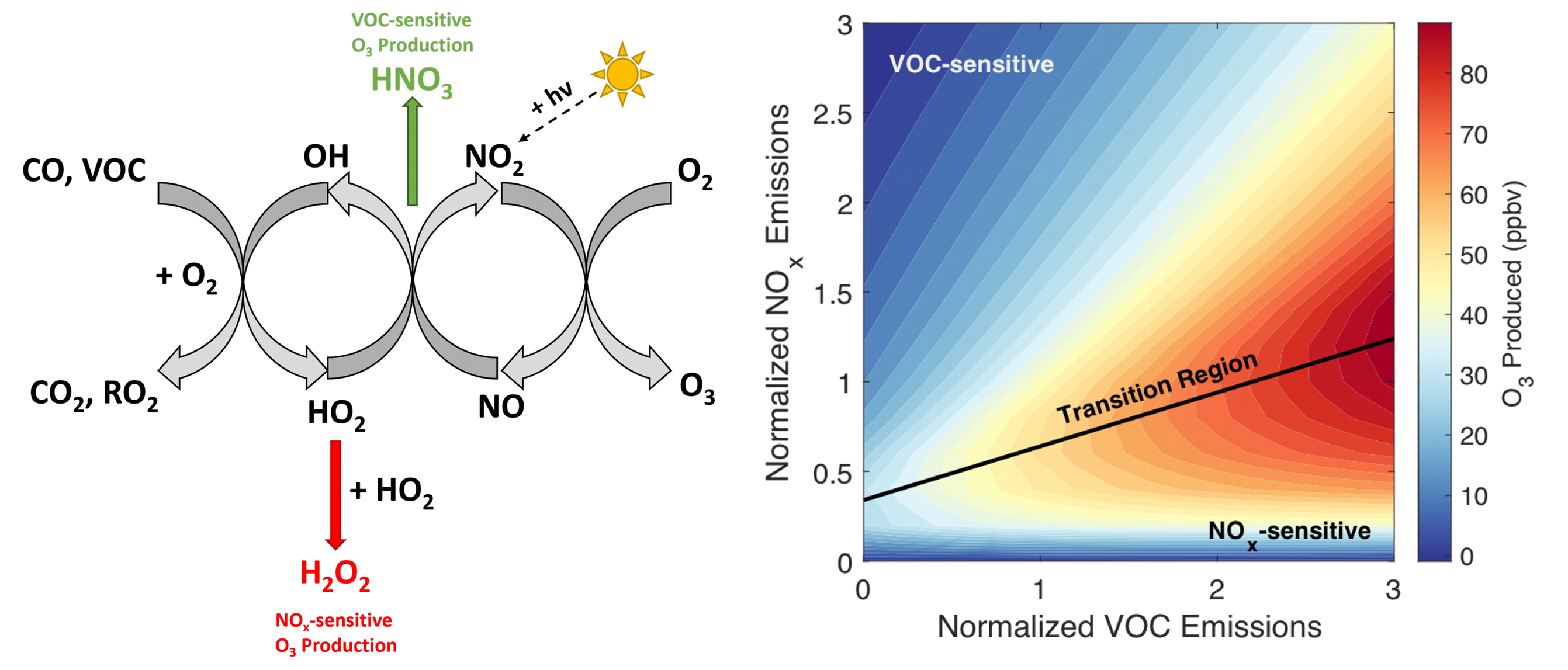 HOx-NOx cycle for ozone production